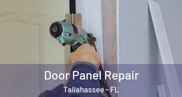  Door Panel Repair Tallahassee - FL