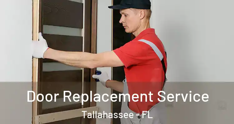  Door Replacement Service Tallahassee - FL