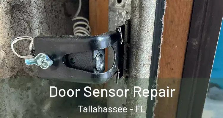  Door Sensor Repair Tallahassee - FL