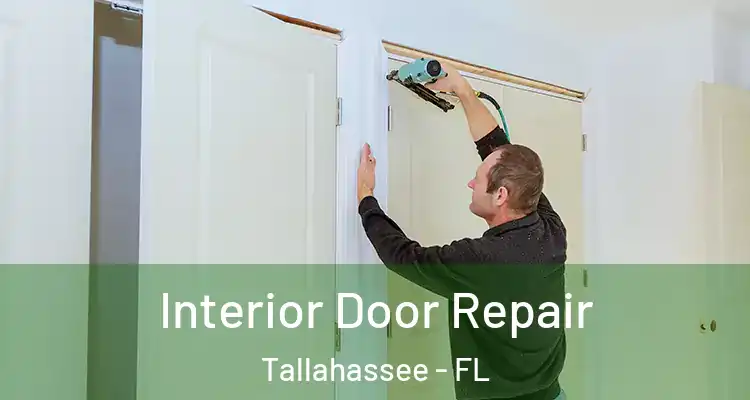 Interior Door Repair Tallahassee - FL