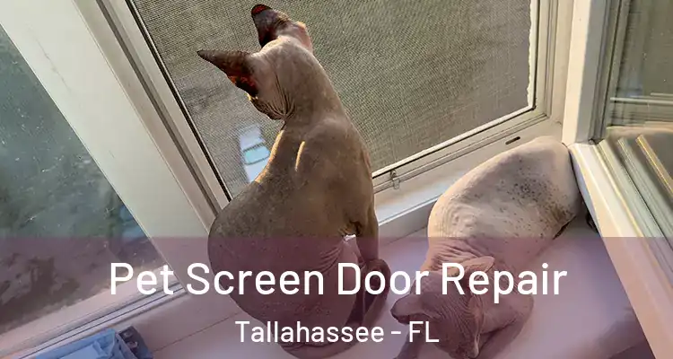  Pet Screen Door Repair Tallahassee - FL